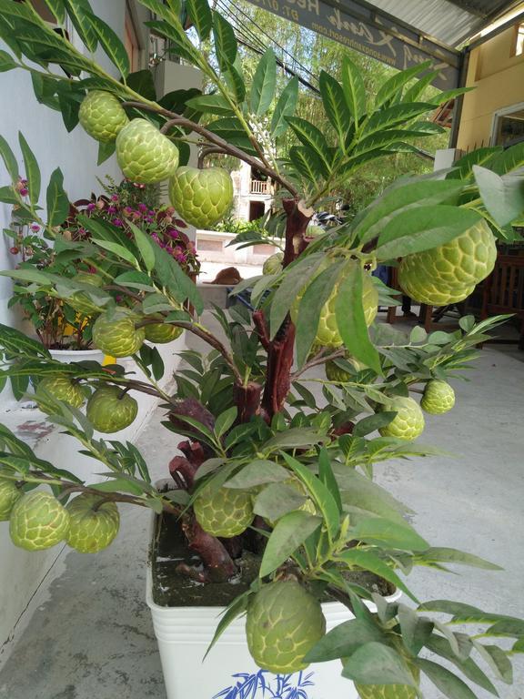 Song Xanh Bungalow Hotell Phu Quoc Exteriör bild